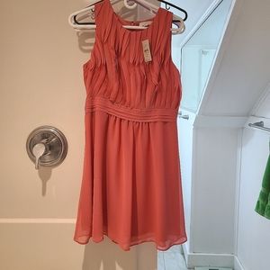 Loft Dress, NWT